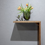 Šoninis staliukas Quinz