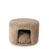 Pufas Cocapoo Brown